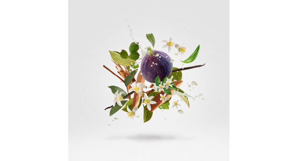 WHITE ON WHITE