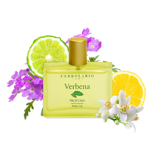Verbena E.d.P