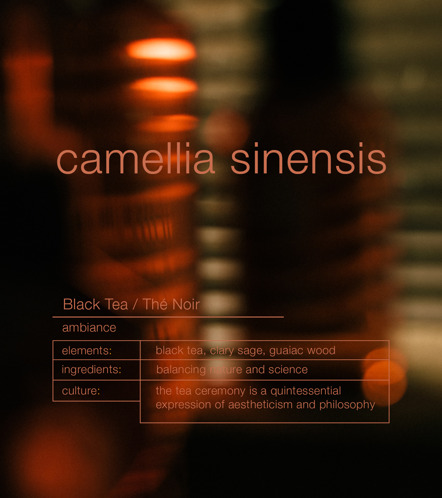 Black Tea Camellia Sinensis Ambiance Trigger Raumduft