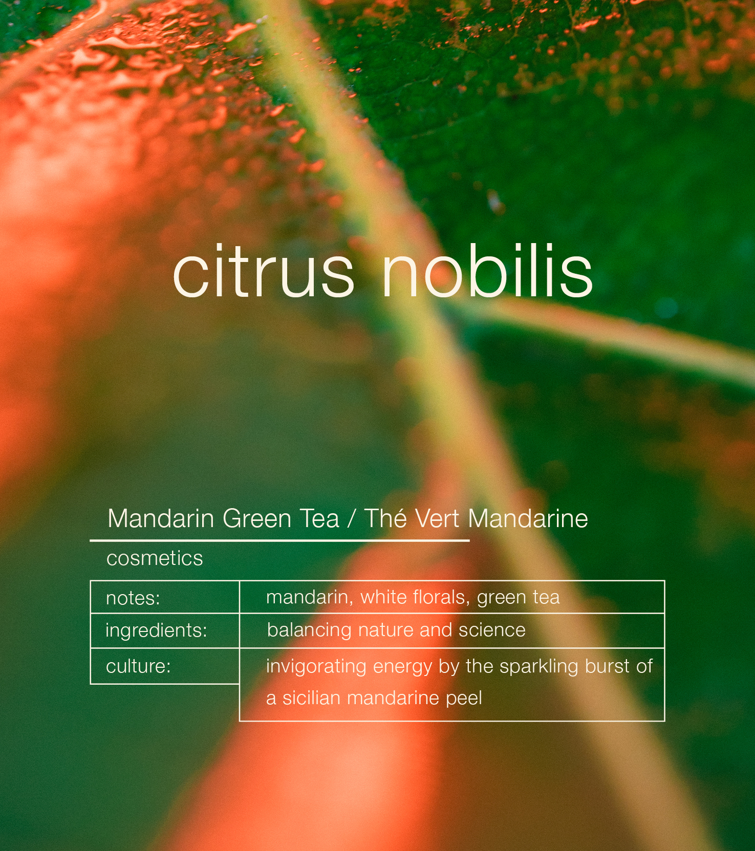 Mandarin Green Tea Citrus Nobilis Hydrating Hand & Body Balm